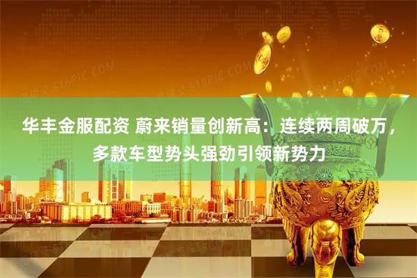 华丰金服配资 蔚来销量创新高：连续两周破万，多款车型势头强劲引领新势力