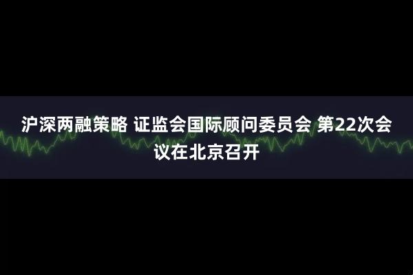 沪深两融策略 证监会国际顾问委员会 第22次会议在北京召开